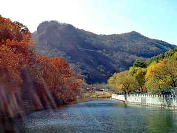 新澳天天开奖资料大全旅游团，空气锤价格